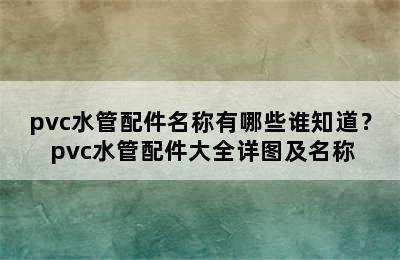 pvc水管配件名称有哪些谁知道？ pvc水管配件大全详图及名称